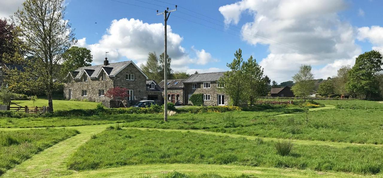 Maesyfelin Isaf B&B Llanybydder Exterior photo