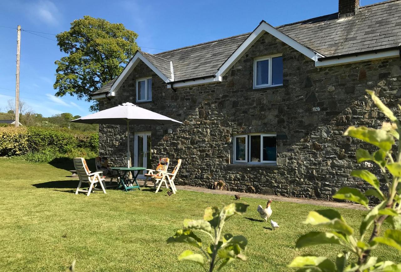 Maesyfelin Isaf B&B Llanybydder Exterior photo